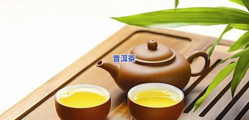 勐勝古茶冰島初制所 品味冰島古樹的純正韻味